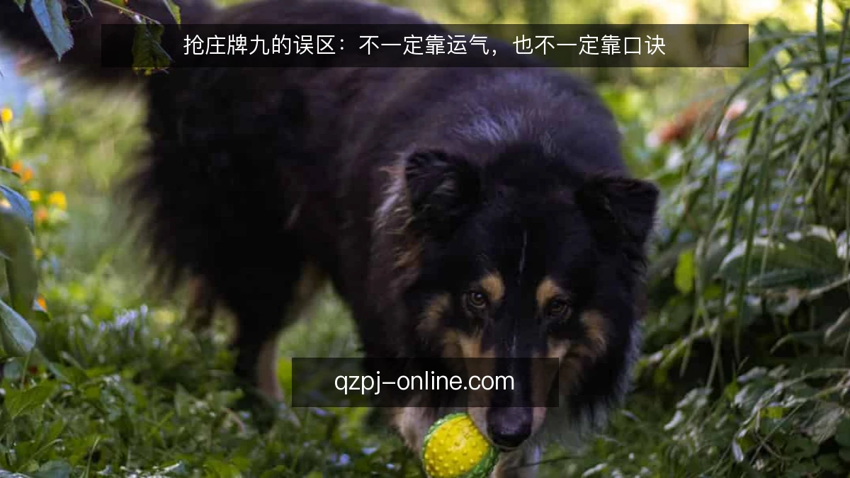 抢庄牌九的误区：不一定靠运气，也不一定靠口诀